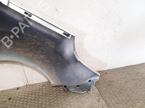 Left front fenders RENAULT KANGOO Express (FW0/1_) 1.5 dCi 75 (FW07, FW10, FW04) | BP27166782C41