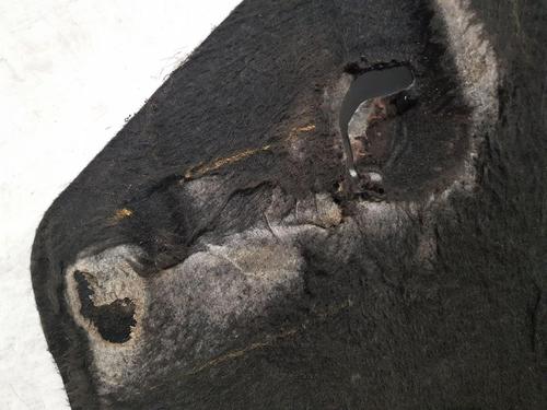 Underbody protection FORD GRAND C-MAX (DXA/CB7, DXA/CEU) 1.6 TDCi | BP30713864M92 