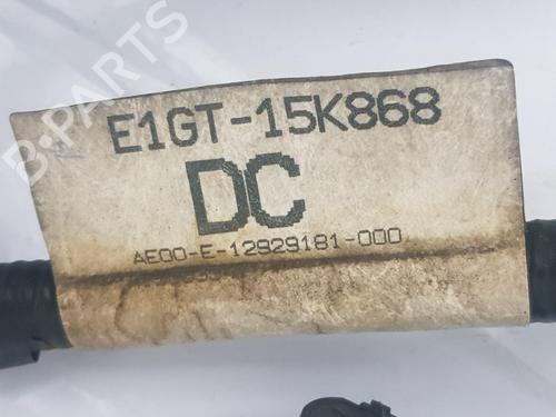 Electronic module FORD S-MAX (CJ, WA6) 2.0 TDCi | BP32004075M83