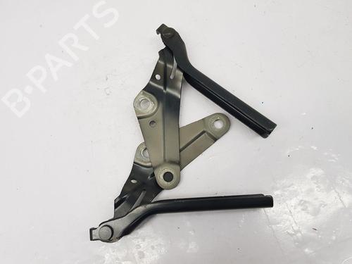 Hinge/Door check strap VW T-ROC (A11, D11) | BP30161479C146