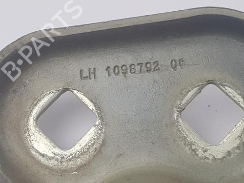 Hinge/Door check strap TESLA MODEL 3 (5YJ3)  | BP34384331C146  - Image 7