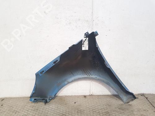 Right front fenders RENAULT SCÉNIC III (JZ0/1_) 1.5 dCi | BP25838954C42 