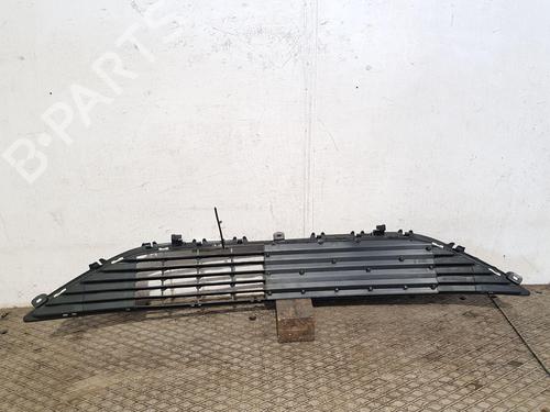 Grille OPEL CORSA F (P2JO) 1.2 (68) | BP29316256C40 