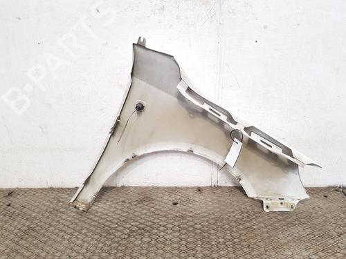 Left front fenders SKODA FABIA II Combi (545) 1.6 TDI | BP28501101C41 