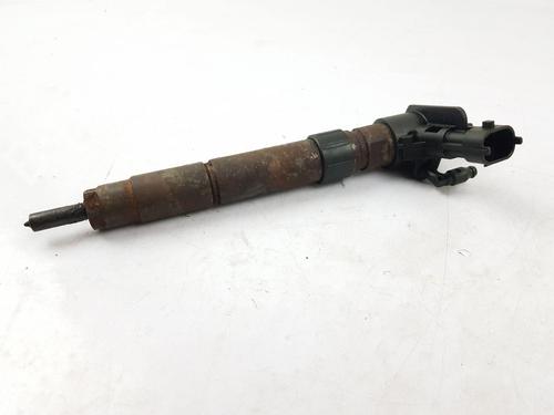 Injector LAND ROVER FREELANDER 2 (L359) 2.2 TD4 4x4 | BP30445465M100