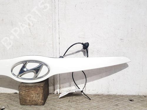 Tailgate handle HYUNDAI ix20 (JC) 1.6 | BP29549295C132 