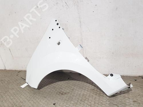 Left front fenders RENAULT TWINGO II (CN0_) 1.2 16V (CN04, CN0B) | BP29467573C41 