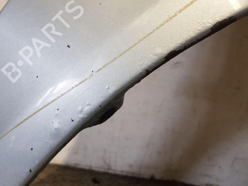 Right front fenders SKODA OCTAVIA II (1Z3) 1.9 TDI | BP22203024C42 