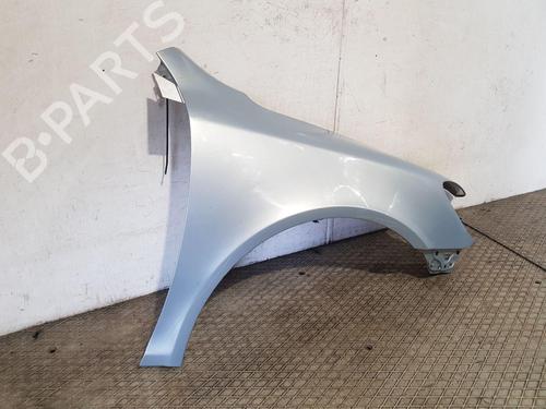 Right front fenders SKODA OCTAVIA II (1Z3) 1.9 TDI | BP22203024C42 