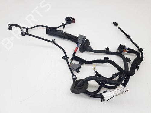 Used Wiring harness LOTUS EMIRA 3.5 (405 hp) 31603699