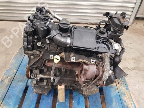 Used Engine Engine FORD FIESTA VI (CB1, CCN) 1.4 TDCi (68 hp) 40081789 40081789