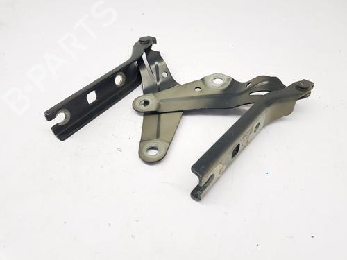 Hinge/Door check strap VW T-ROC (A11, D11) | BP30161479C146