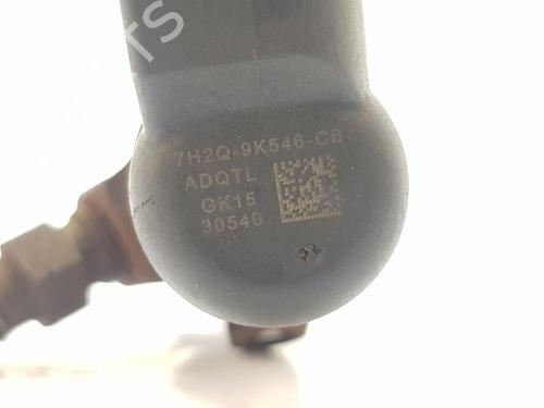 Injector LAND ROVER RANGE ROVER SPORT I (L320) 2.7 D 4x4 | BP28362902M100 