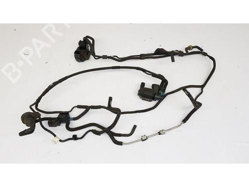 Used Other Other BENTLEY CONTINENTAL Convertible (3W_, 394) 4.0 AWD (528 hp) 33219655 33219655