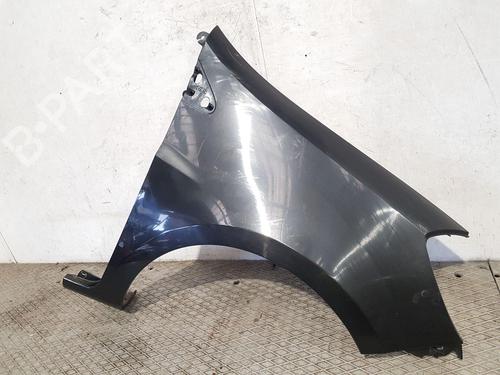 Right front fenders RENAULT CLIO III (BR0/1, CR0/1) 1.4 16V | BP22206629C42 