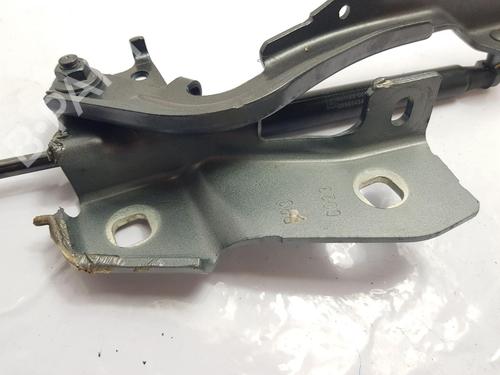 Hinge/Door check strap ALFA ROMEO GIULIA (952_)  | BP23966196C146 