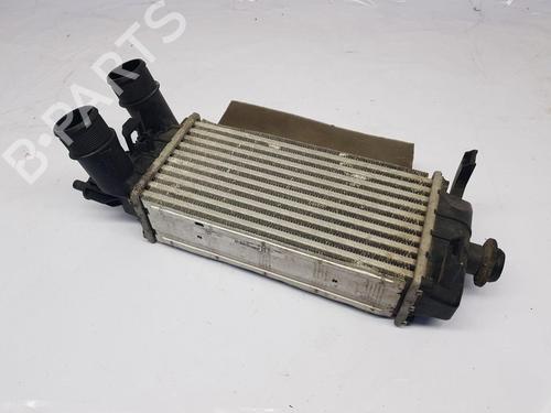 Used Intercooler Intercooler FORD TOURNEO COURIER B460 MPV 1.0 EcoBoost (100 hp) 33559177 33559177