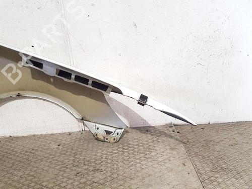 Left front fenders SKODA OCTAVIA II (1Z3) 2.0 TDI 16V | BP27186552C41 