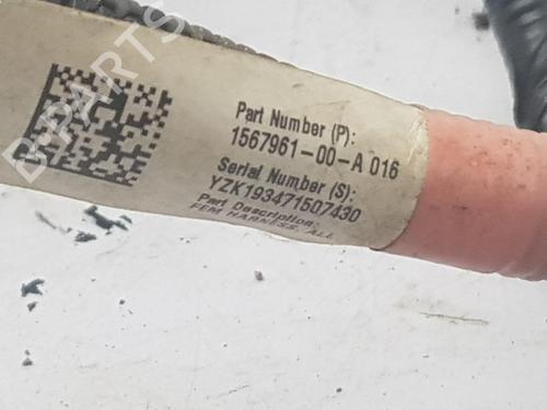 Other TESLA MODEL 3 (5YJ3) | BP35746261O1 - Image 4