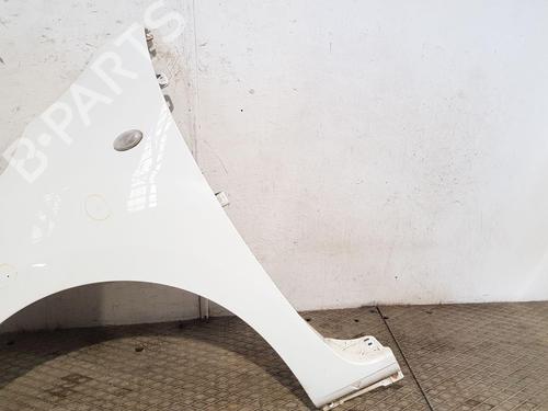 Left front fenders MERCEDES-BENZ CITAN Box Body/MPV (W415)  | BP28800418C41 