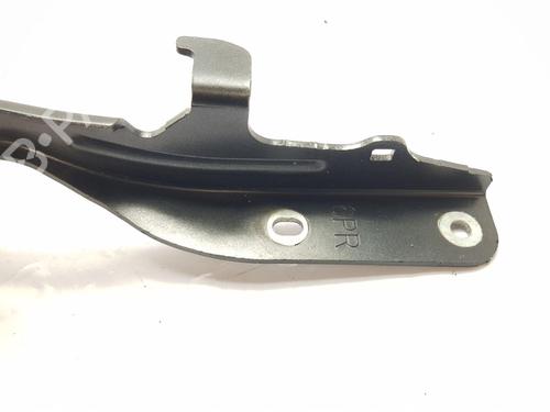 Hinge/Door check strap NISSAN JUKE (F16_) 1.0 | BP28088056C146 