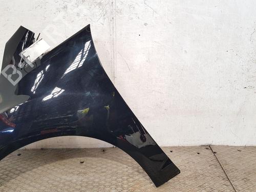Left front fenders FORD C-MAX II (DXA/CB7, DXA/CEU) 1.5 TDCi | BP27469893C41 