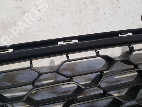 Grill CITROËN C3 II (SC_) 1.4 HDi 70 (SC8HZC, SC8HR0, SC8HP4) | BP29756044C40 