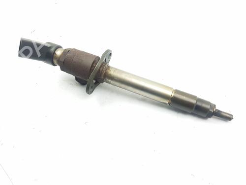 Injector LAND ROVER RANGE ROVER SPORT I (L320) 3.6 D 4x4 | BP28612764M100