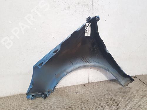 Right front fenders RENAULT SCÉNIC III (JZ0/1_) 1.5 dCi | BP25838954C42 