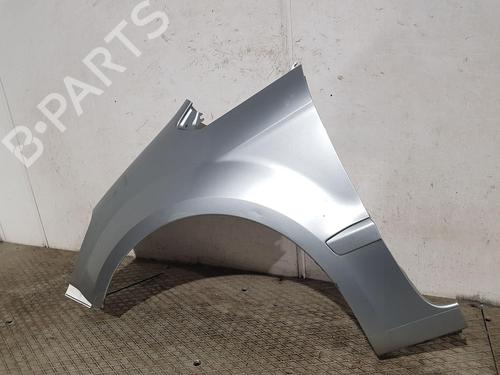 Left front fenders FORD GALAXY II (WA6) 1.8 TDCi | BP32221634C41 