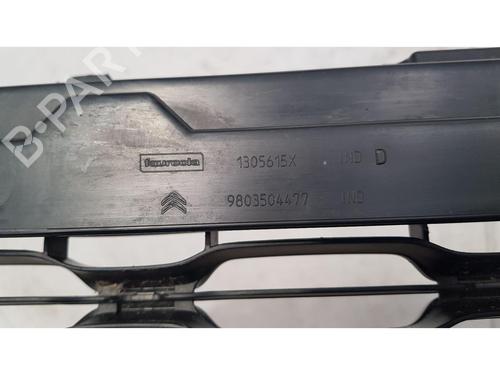 Grill CITROËN C3 II (SC_) 1.2 VTi 82 | BP39174821C40 - Image 10