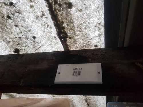 Andre MCLAREN 720S 4.0 | BP22680642O1