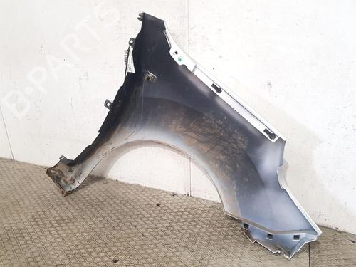 Left front fenders RENAULT KANGOO Express (FW0/1_) 1.5 dCi 75 (FW07, FW10, FW04) | BP27166782C41