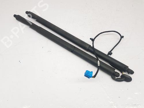 Tailgate lift support MERCEDES-BENZ GLC Coupe (C253) 250 d 4-matic (253.309) BP22794374C138