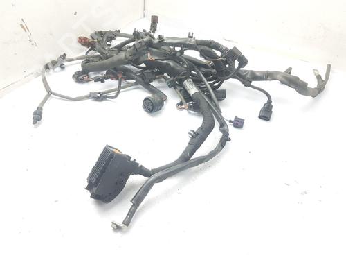Used Wiring harness Wiring harness AUDI A3 Sportback (8VA, 8VF) RS3 quattro (367 hp) 35795615 35795615