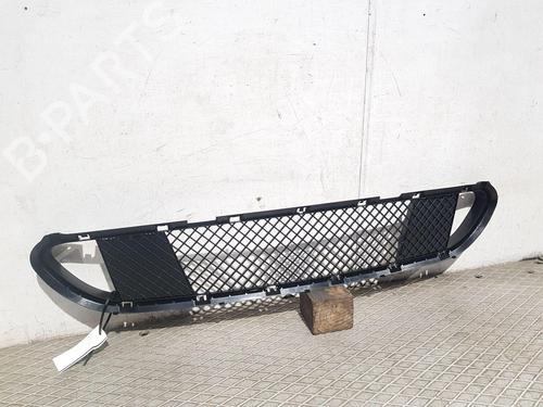 Grille BMW 5 Touring (E61) 525 d | BP29756012C40 