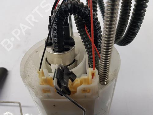 Fuel pump FORD ECOSPORT  | BP30445343M76 