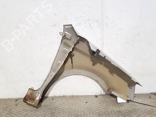 Left front fenders FIAT PANDA (169_) 1.1 (169.AXA1A) | BP29738246C41 