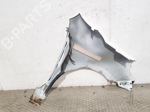 Left front fenders NISSAN MICRA IV (K13K, K13KK) 1.2 | BP29549436C41 