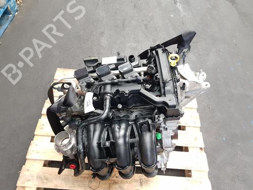 Motor FORD FIESTA VI (CB1, CCN) 1.0 (80 hp) 29045157