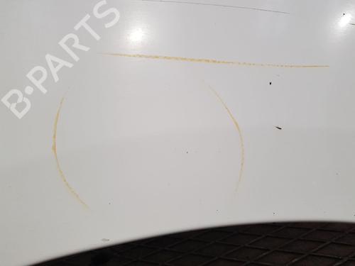 Left front fenders RENAULT TRAFIC II Van (FL) 2.0 dCi 115 (FL01, FL0U, FL00, FL0H, FL0M) | BP28501059C41 
