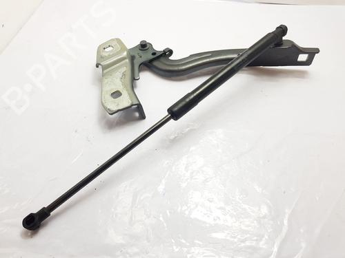 Hinge/Door check strap ALFA ROMEO GIULIA (952_)  | BP23966196C146 