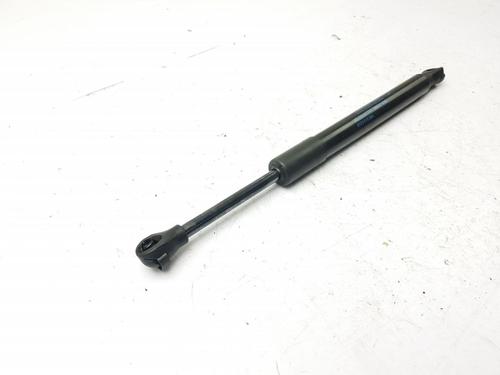 Tailgate lift support ALPINE A110 II  | BP33442956C138  - Image 7