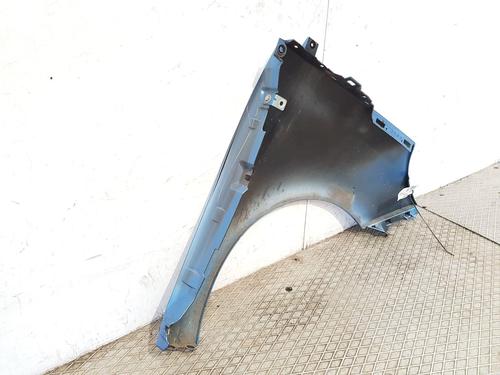 Left front fenders RENAULT SCÉNIC III (JZ0/1_) 1.5 dCi | BP22208266C41 