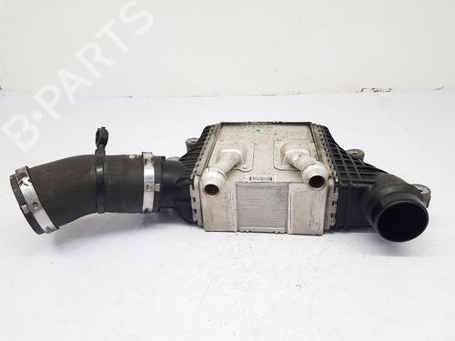 Intercooler JAGUAR E-PACE (X540) 2.0 D150 | BP30650025M30