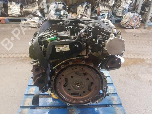 Engine LAND ROVER RANGE ROVER IV (L405) 3.0 TDV6 4x4 | BP31603516M1 