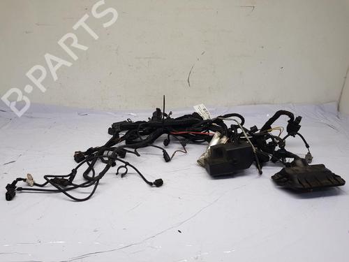 Used Wiring harness Wiring harness 36841384 36841384