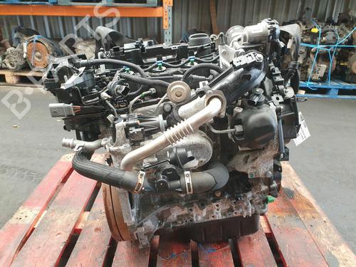 Engine FORD KUGA II (DM2) 1.5 TDCi | BP28482742M1