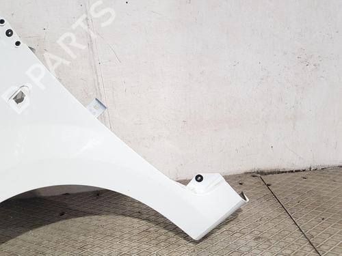 Left front fenders RENAULT TWINGO II (CN0_) 1.2 16V (CN04, CN0B) | BP29467573C41 