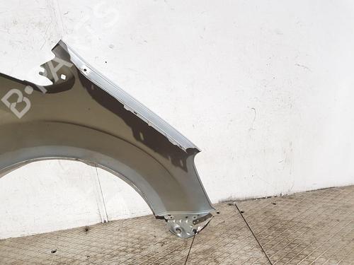 Left front fenders FORD GALAXY II (WA6) 1.8 TDCi | BP32221634C41 